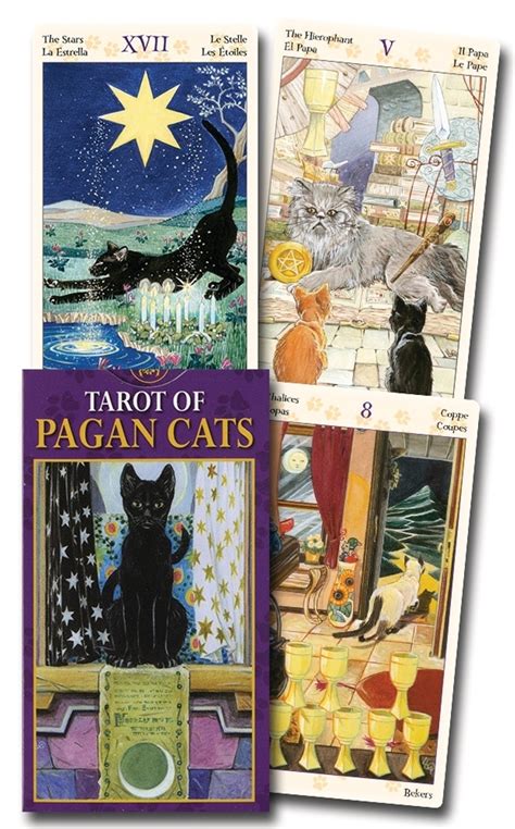 The Enchanting World of Tarot and Pagan Cats